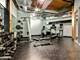 668 N Kingsbury Unit 206, Chicago, IL 60654