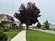 919 Broadway, Melrose Park, IL 60160
