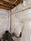 303 Owen, Oswego, IL 60543