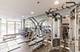 1250 S Michigan Unit 1207, Chicago, IL 60605