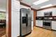 1029 Webster, Schaumburg, IL 60193