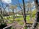 412 Deer Trail Unit B, Lake Barrington, IL 60010