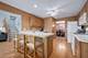 13839 Steepleview, Lemont, IL 60439