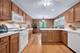 13839 Steepleview, Lemont, IL 60439
