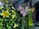 2334 W Medill, Chicago, IL 60647