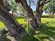 25501 W Wolfs Crossing, Plainfield, IL 60585