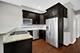 2333 W Montana Unit 2, Chicago, IL 60647