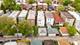 5427 S Hermitage, Chicago, IL 60609