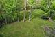 3336 N Betty, Arlington Heights, IL 60004