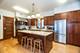 424 N Harvey, Oak Park, IL 60302