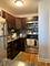 4250 N Marine Unit 1232, Chicago, IL 60613