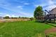 1017 Wheatland, Crystal Lake, IL 60014