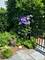 9360 Ridgeway, Evanston, IL 60203