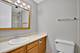 2901 S Michigan Unit 1301, Chicago, IL 60616