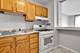 2901 S Michigan Unit 1301, Chicago, IL 60616
