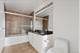 1720 S Michigan Unit 2118, Chicago, IL 60616