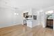 1085 S Park, Chicago, IL 60605