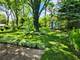 629 Jonquil, Lisle, IL 60532