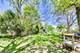 858 Woodbine, Northbrook, IL 60062