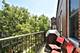 301 W Scott Unit 204, Chicago, IL 60610