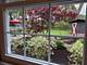 909 E Rockwell, Arlington Heights, IL 60005