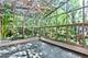 22 Regent Wood, Northfield, IL 60093