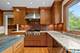 520 Greenwood, Kenilworth, IL 60043