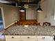 420 W Ontario Unit 308, Chicago, IL 60610