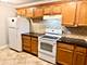 1288 Perry Unit P1, Des Plaines, IL 60016
