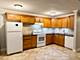 1288 Perry Unit P1, Des Plaines, IL 60016