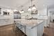1019 W George, Chicago, IL 60657
