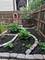 2125 W Greenleaf, Chicago, IL 60645