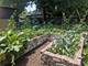 2125 W Greenleaf, Chicago, IL 60645
