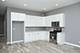 1253 S Millard, Chicago, IL 60623