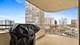3930 N Pine Grove Unit 1211, Chicago, IL 60613