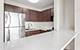 1122 N Clark Unit 3507, Chicago, IL 60610