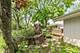 616 Grace, Schaumburg, IL 60193