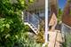 7309 W Pensacola, Norridge, IL 60706