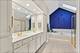 15235 Hamlin, Plainfield, IL 60544