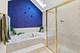 15235 Hamlin, Plainfield, IL 60544