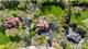 26 Brandywine, South Barrington, IL 60010