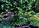 200 W Woodstock, Crystal Lake, IL 60014