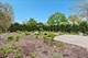 545 S Evergreen, Arlington Heights, IL 60005
