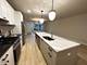 4315 S Indiana Unit 1, Chicago, IL 60653