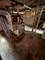 7811 S East End, Chicago, IL 60649