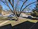 565 Somerset Unit 7, Crystal Lake, IL 60014