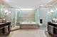 401 N Wabash Unit 41G, Chicago, IL 60611