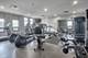1255 S State Unit 806, Chicago, IL 60605