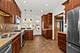 732 S Kenilworth, Oak Park, IL 60304