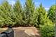 2715 Blakely, Naperville, IL 60540